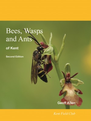 Bees, Wasps and Ants of Kent (2020)